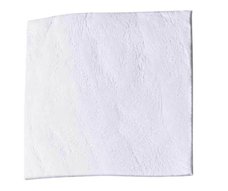 evolution fine equine 1.PNG