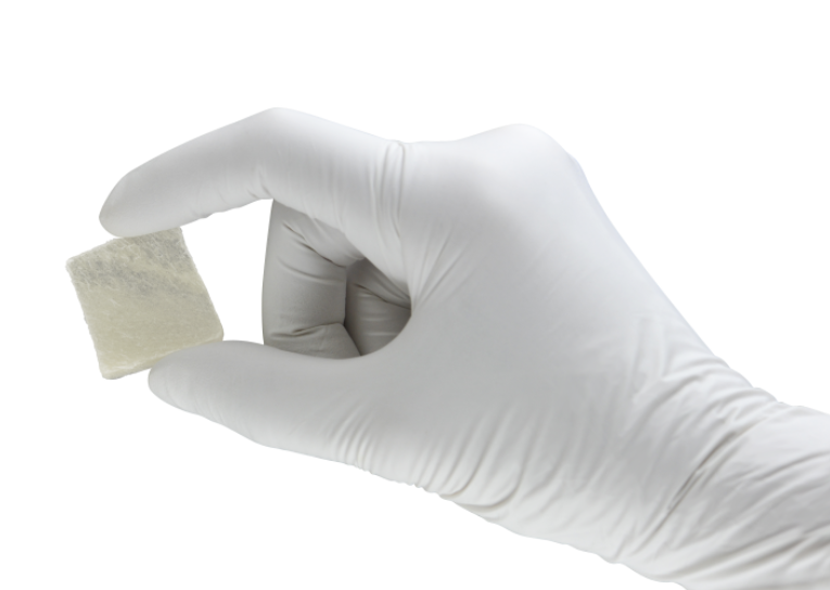 lamina equine fine n2.PNG