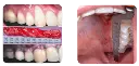 92369 CAS.webp