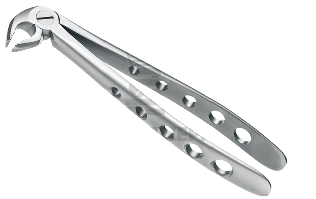 Davier Dent Sagesse & Molaire Inf  12.222.00Z