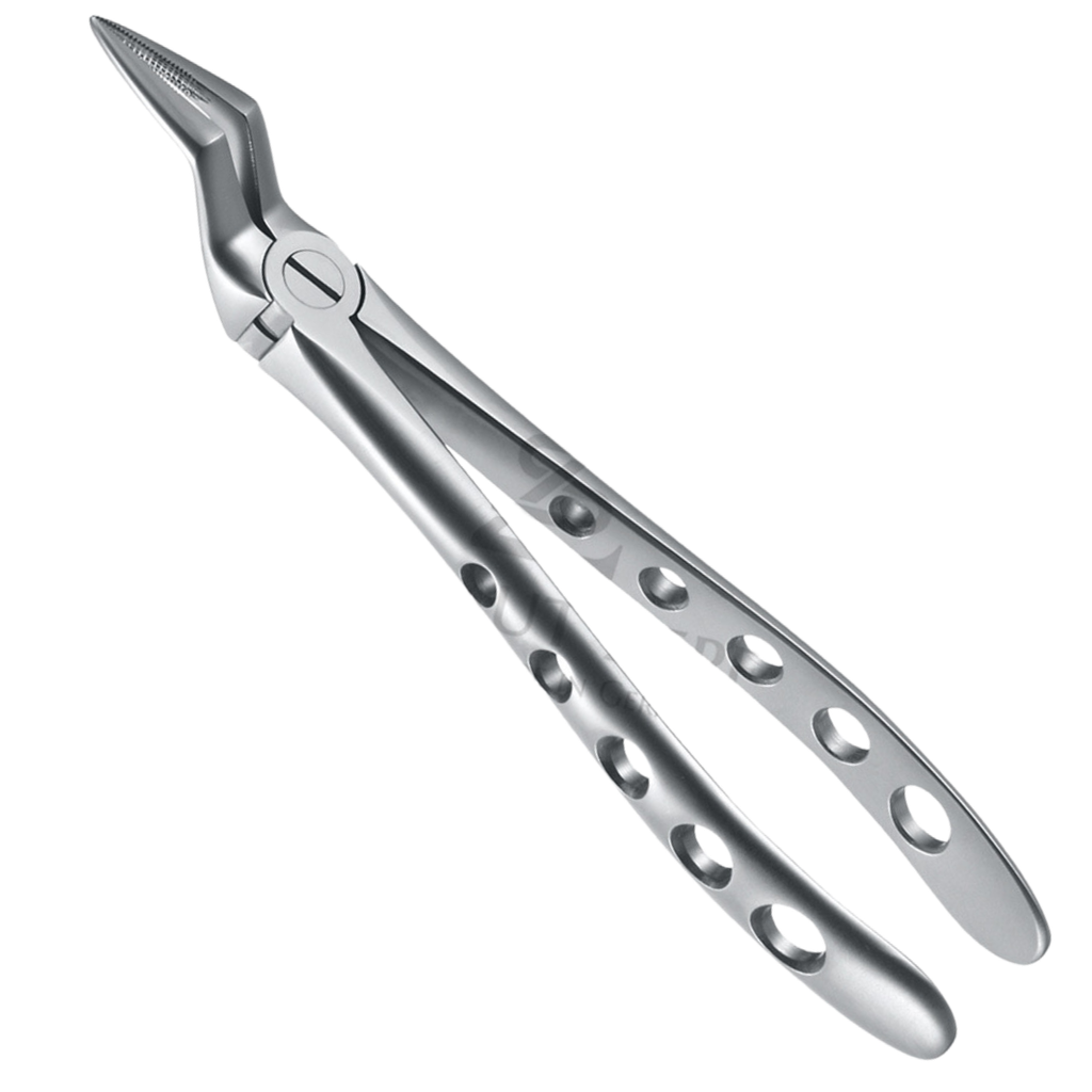 Davier Racine pour Machoire Sup 12.051.01Z