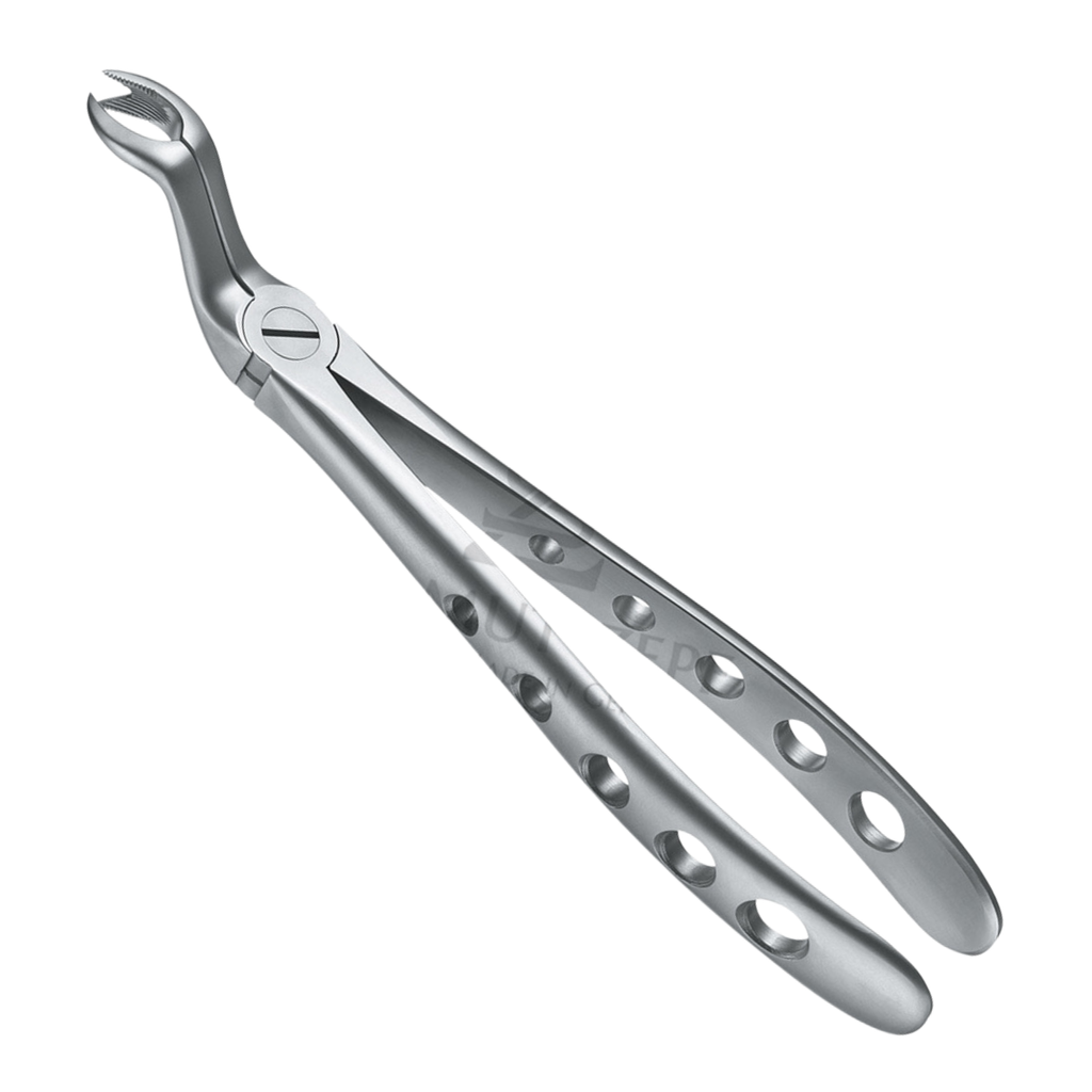 Davier Dent de Sagesse Sup 12.067.18Z