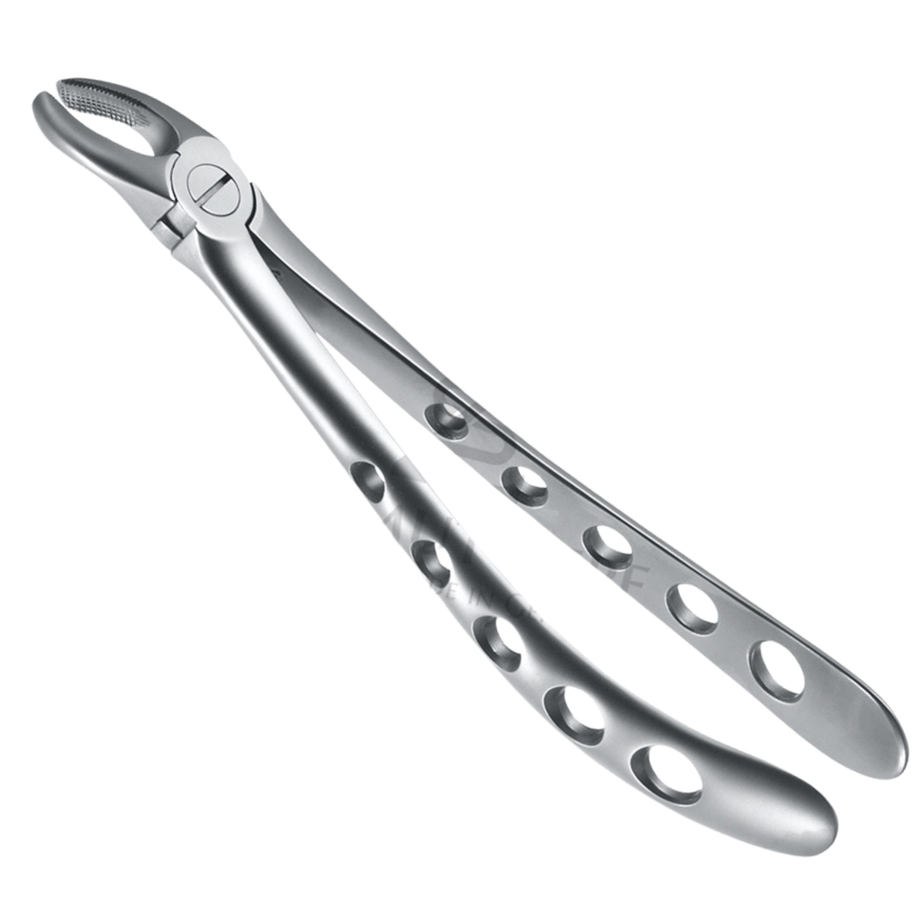 Davier Dents Sagesse & Molaires Inf  12.022.00Z