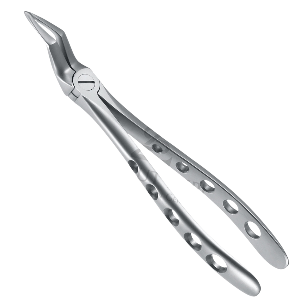 Davier Racines Sup 12.051.15ZS