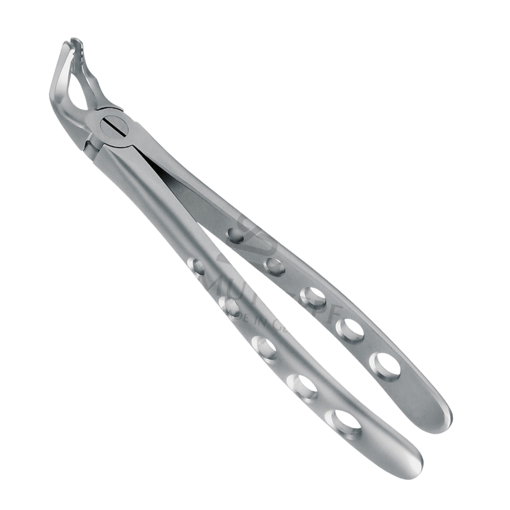 Davier Dent Sagesse & Molaire Inf  12.221.90Z