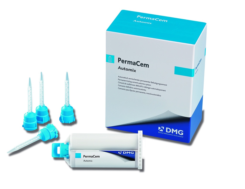 Permacem Cart 52g +35 Embouts Bte/1