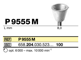 FR P9555M CA (204) D100 bte/10