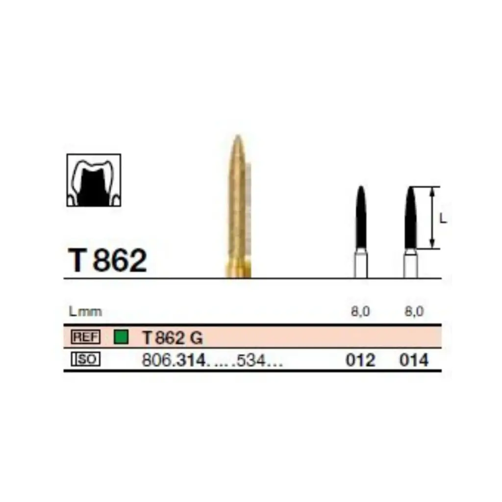 FR T862G Turbine (314)