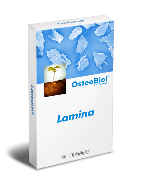 Osteo Lamina (Equin) F 25*25mm n°LPP 8198823