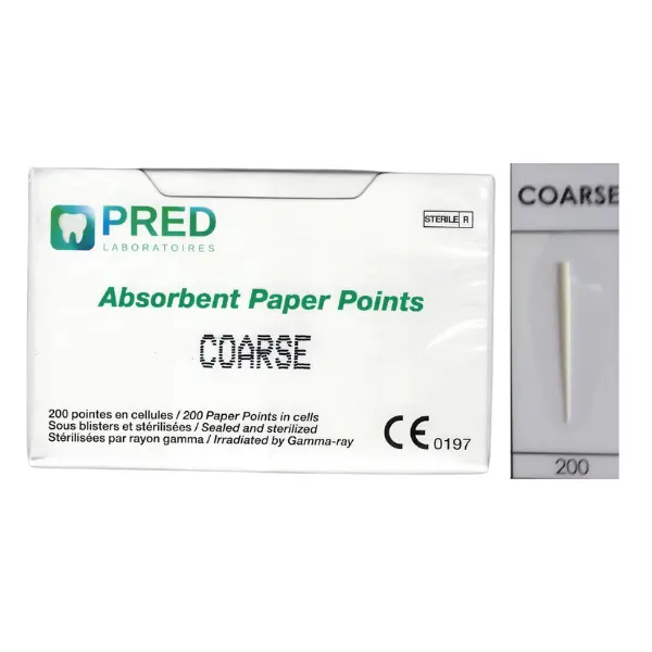 Pointes Papier Regular (Boite/200)