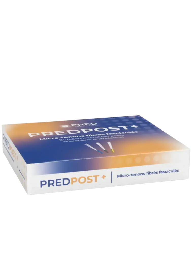 PredPost+ Tenons boite/10