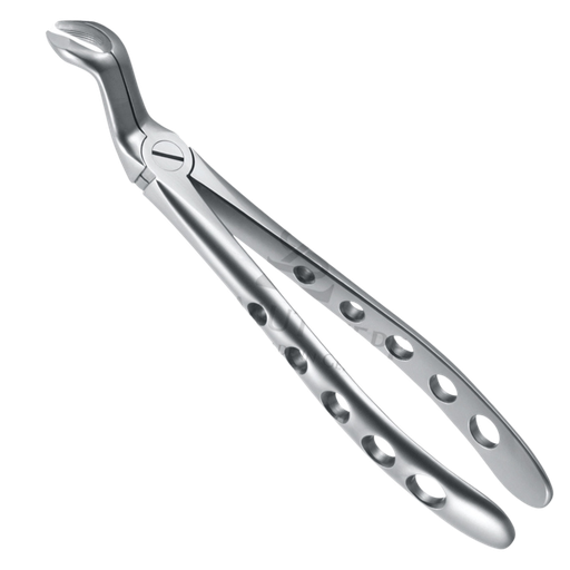 [87005] Davier Sagesse Molaire Haut 12.067.95Z Mors Large