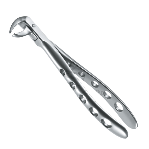 [89583] Davier Molaire Inf 12.073.01Z