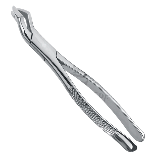 [89688] Davier Nevius Molaire Sup Gauche 14.088.15