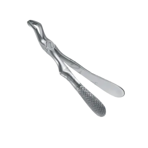 [92088] Davier Pedo Molaire Sup Droit 10.681.52