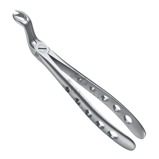 [92202] Davier Dent de Sagesse Sup 12.067.18Z