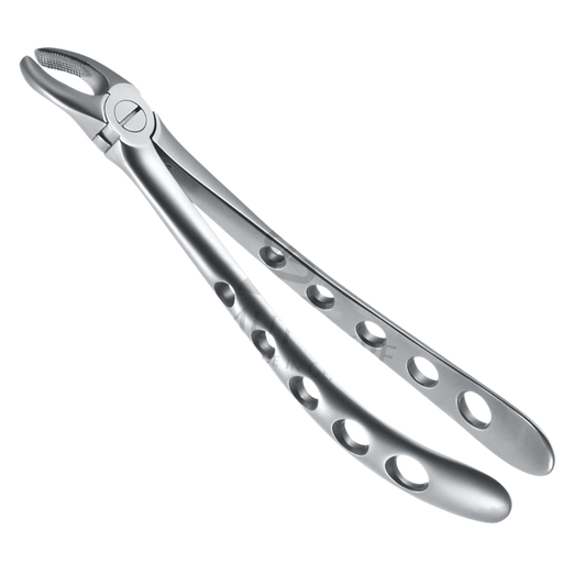 [92208] Davier Dents Sagesse & Molaires Inf  12.022.00Z