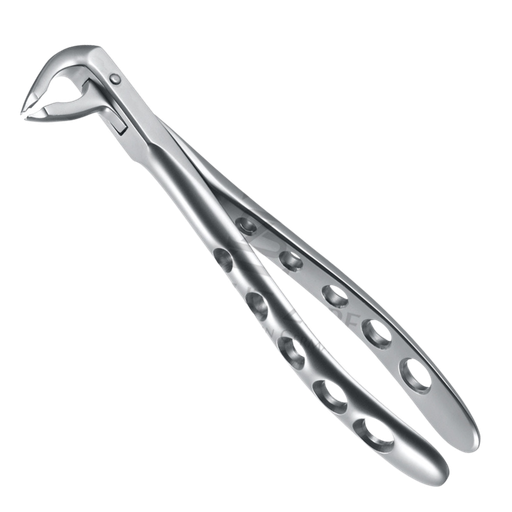 [99221] Davier Incisives Inf 12.036.00Z