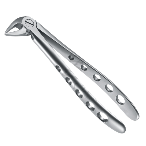 [99331] Davier Incisives & Canines & Racines Inf 12.033.01Z