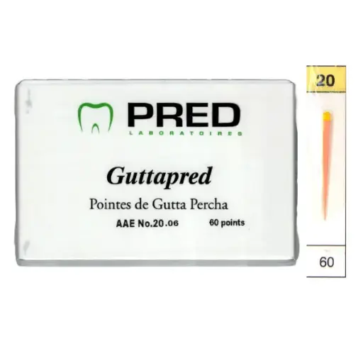 [67112xx] GuttaPred AAE 6% (boite/60)